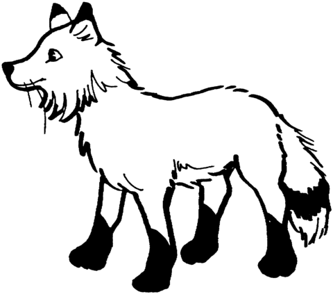 Cute Red Fox Coloring Page